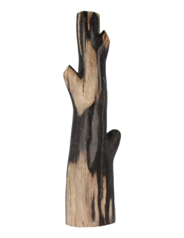 Bamboe scheuten versteend, p/kg
