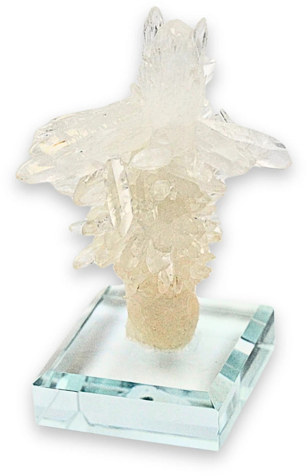 Calciet cluster nr.633