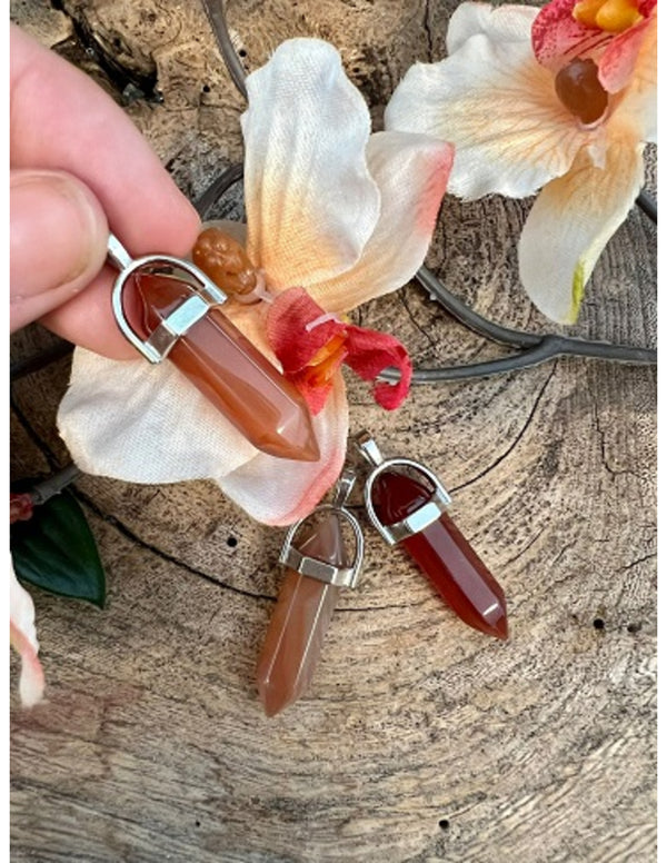Dubbeleinder Carneool hanger zilverkleurig zonder ketting