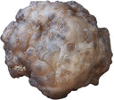 Chalcedoon ruw stuk nr.11