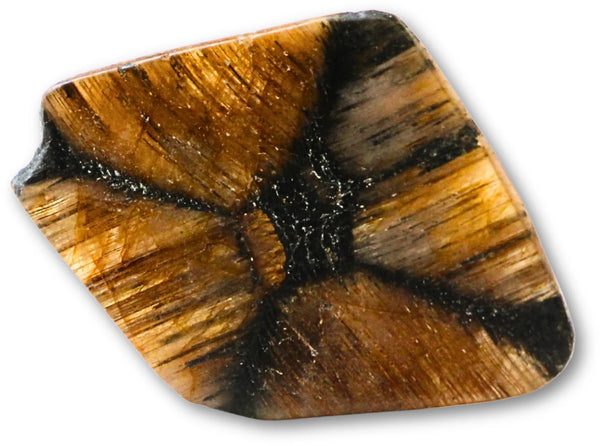 Chiastoliet - Andalusiet schijfjes (kruissteen) 2,5 - 4 cm