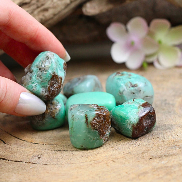 Trommelstenen Chrysopraas (150 gram)