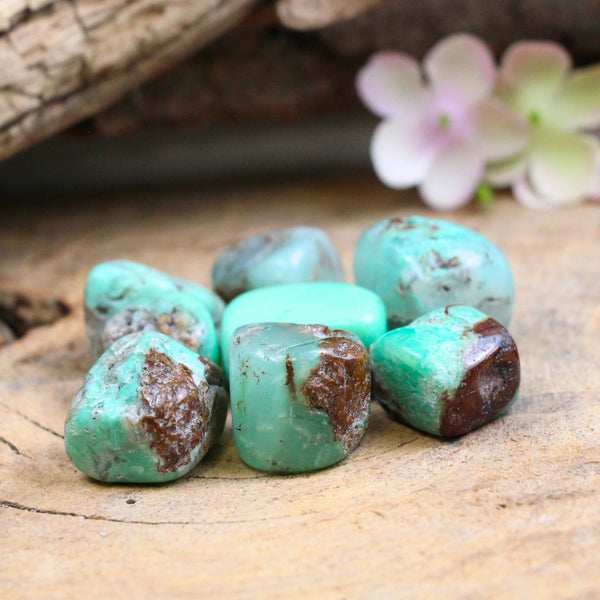 Trommelstenen Chrysopraas (150 gram)