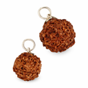 Edelsteen Hanger Rhudraksha