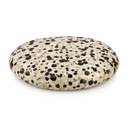 Zaksteen Jaspis Dalmatiër