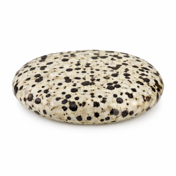Zaksteen Jaspis Dalmatiër