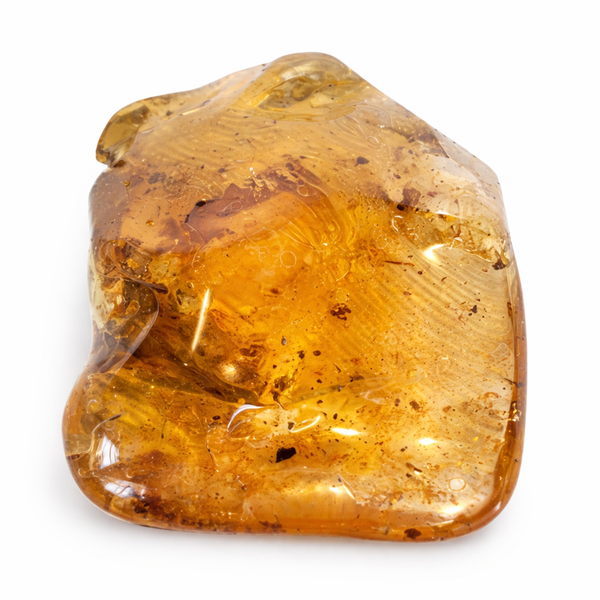 Madagaskar Copal met Blad ongeveer 7 cm