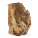Fossiel Hout uit Java Half Gepolijst