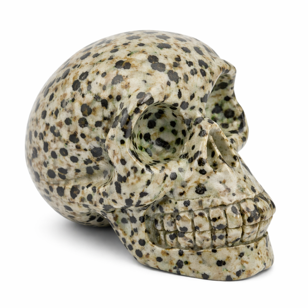 Kristallen Schedel Jaspis Dalmatier (70 mm)