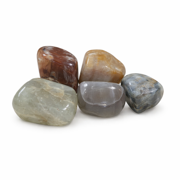 Trommelstenen Maansteen Multi (20-30 mm) - 100 gram