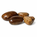 Trommelstenen Versteend Hout (20-40 mm) - 50 gram