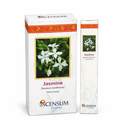 Incensum Jasmine Zuid-India Hoge Concentratie Langdurige Geur 10 Stokjes