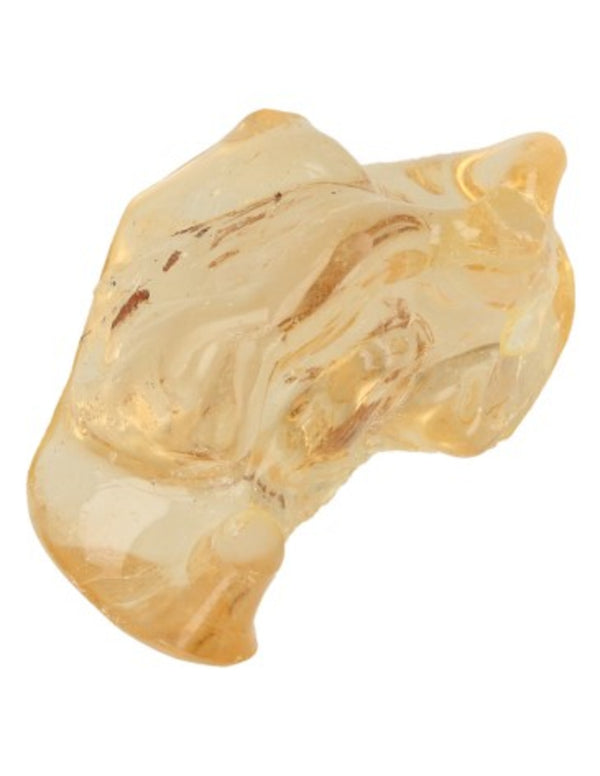 Copal gepolijst 10-14 gram