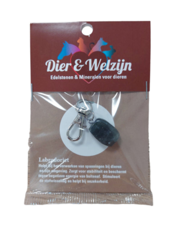 Dier & Welzijn halsband hanger Labradoriet