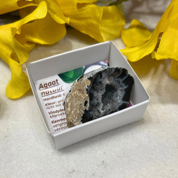 Doosje Edelsteen Agaat Geode