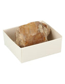 Ruwe Versteend Hout Edelsteen ca. 4 cm