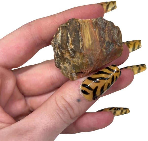 Ruwe Versteend Hout Edelsteen ca. 4 cm
