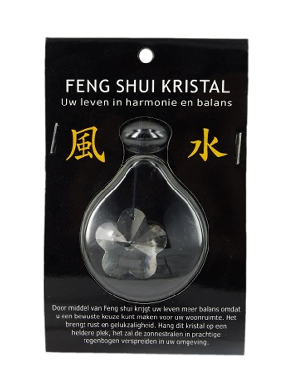 Feng shui raamhanger bloem