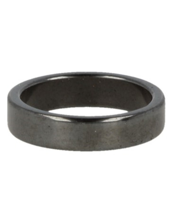 Edelsteen Ring Hematiet Plat - 5 mm / Maat 20