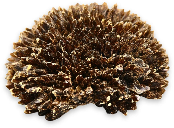 Honing Amber Calciet nr. 01