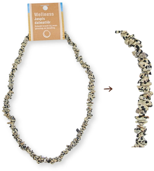Jaspis dalmatiër splitketting + kaart
