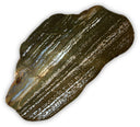 Jaspis oceaan schijf nr.01