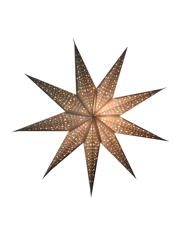 Kerstster nr. 40 Zilveren ster "glitter" (zonder verlichtingsset)