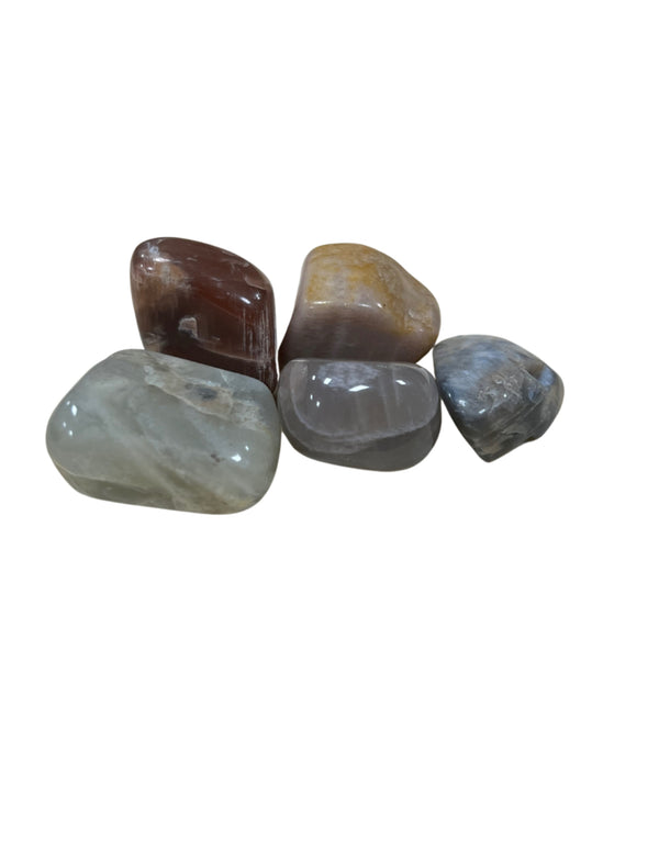 Trommelstenen Maansteen Multi (20-30 mm) - 100 gram
