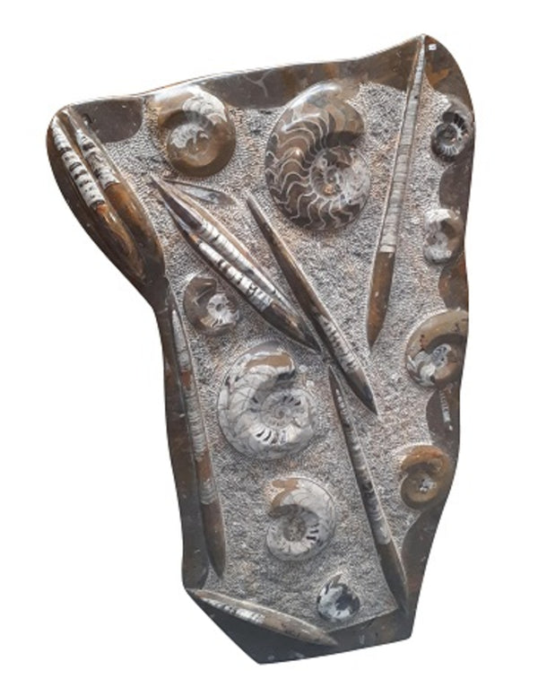 Orthoceras met Ammoniet sculptuur nr.29