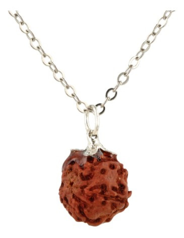 Edelsteen Hanger Rhudraksha