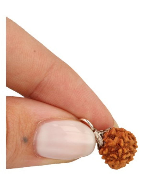 Edelsteen Hanger Rhudraksha