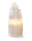 Seleniet lamp groot 30 cm incl. elektra