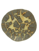 Septarie half gepolijst, Utah USA, nr. 253
