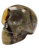 Septarie schedel 17 cm