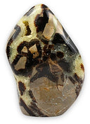 Septarie sculptuur nr.09