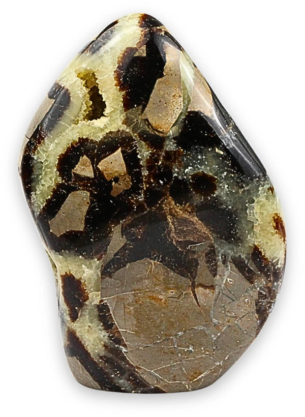 Septarie sculptuur nr.09