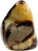 Septarie sculptuur nr.10