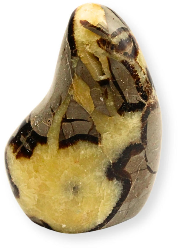 Septarie sculptuur nr.11