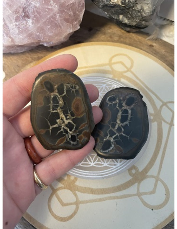 Septarie Paar Dragon Stone uit Madagaskar