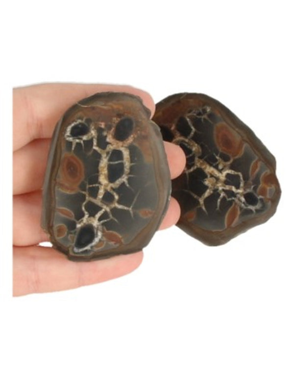 Septarie Paar Dragon Stone uit Madagaskar
