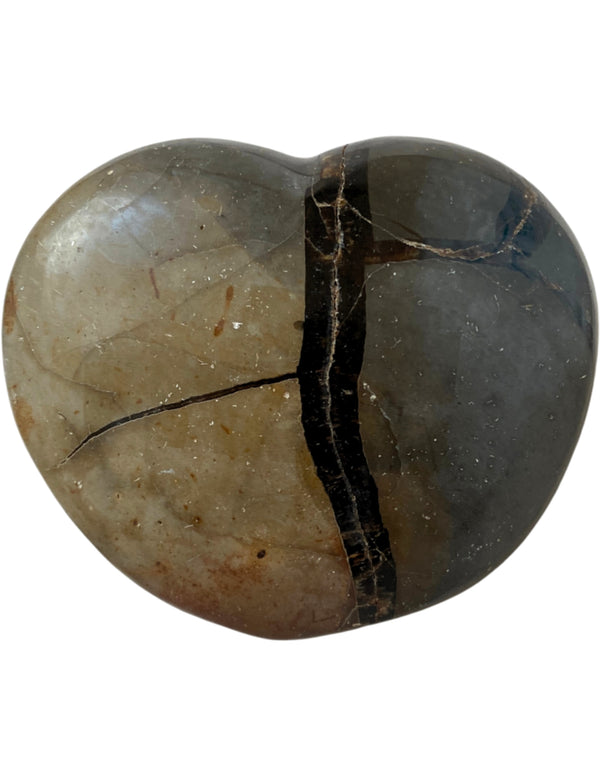 Septarie wild hart nr.04