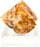Sheeliet op Muscoviet nr.05
