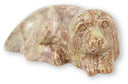 Speksteen Spaniel hond liggend