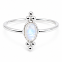 Edelsteen Ring Regenboog Maansteen - 925 Zilver - Fancy (Maat 17)