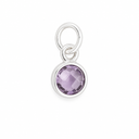 Geboortesteen Hanger Februari Amethist - 925 Zilver - 6 mm