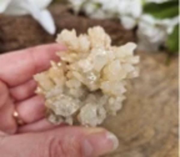 Stalactiet met Aragoniet kristallisaties ruw, p/kg