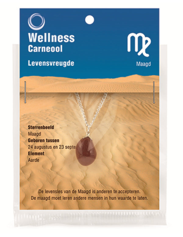 Carneool Sterrenbeeldhanger Maagd met RVS Kettingje
