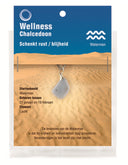 Edelsteen Hanger Sterrenbeeld Waterman - Chalcedoon