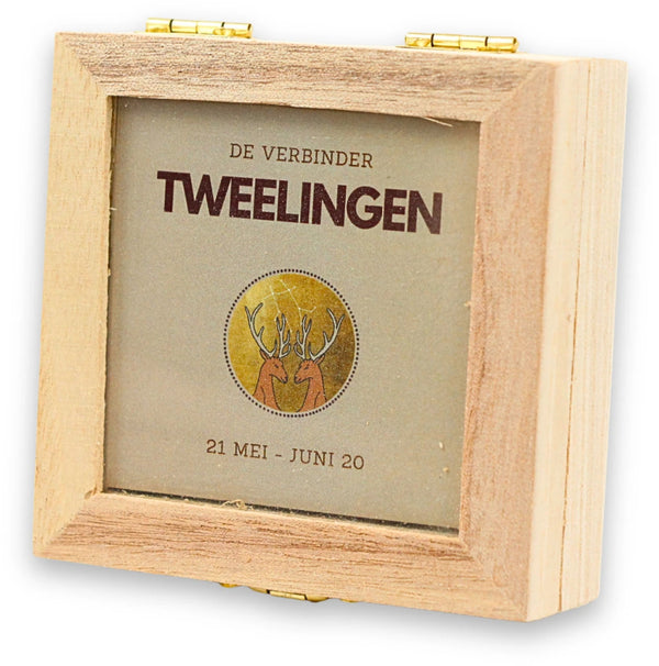 Sterrenbeeld trommelsteen setje - TWEELINGEN