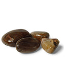 Trommelstenen Versteend Hout (20-40 mm) - 50 gram